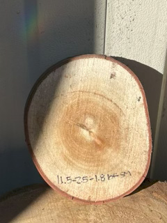 Spalted Maple